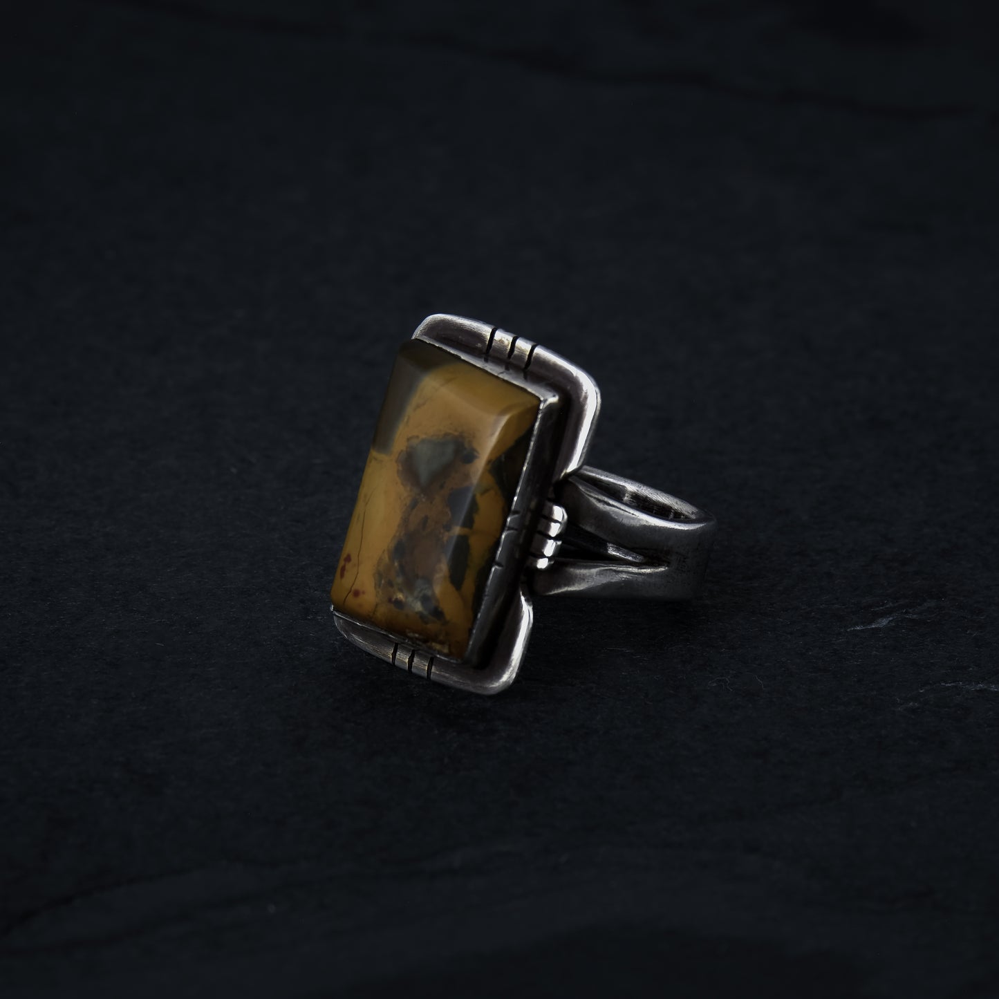 Petrified Wood Size 11