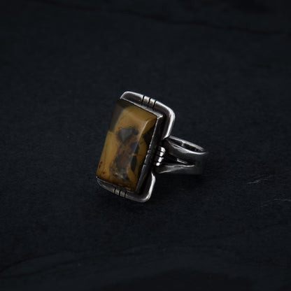 Petrified Wood Size 11