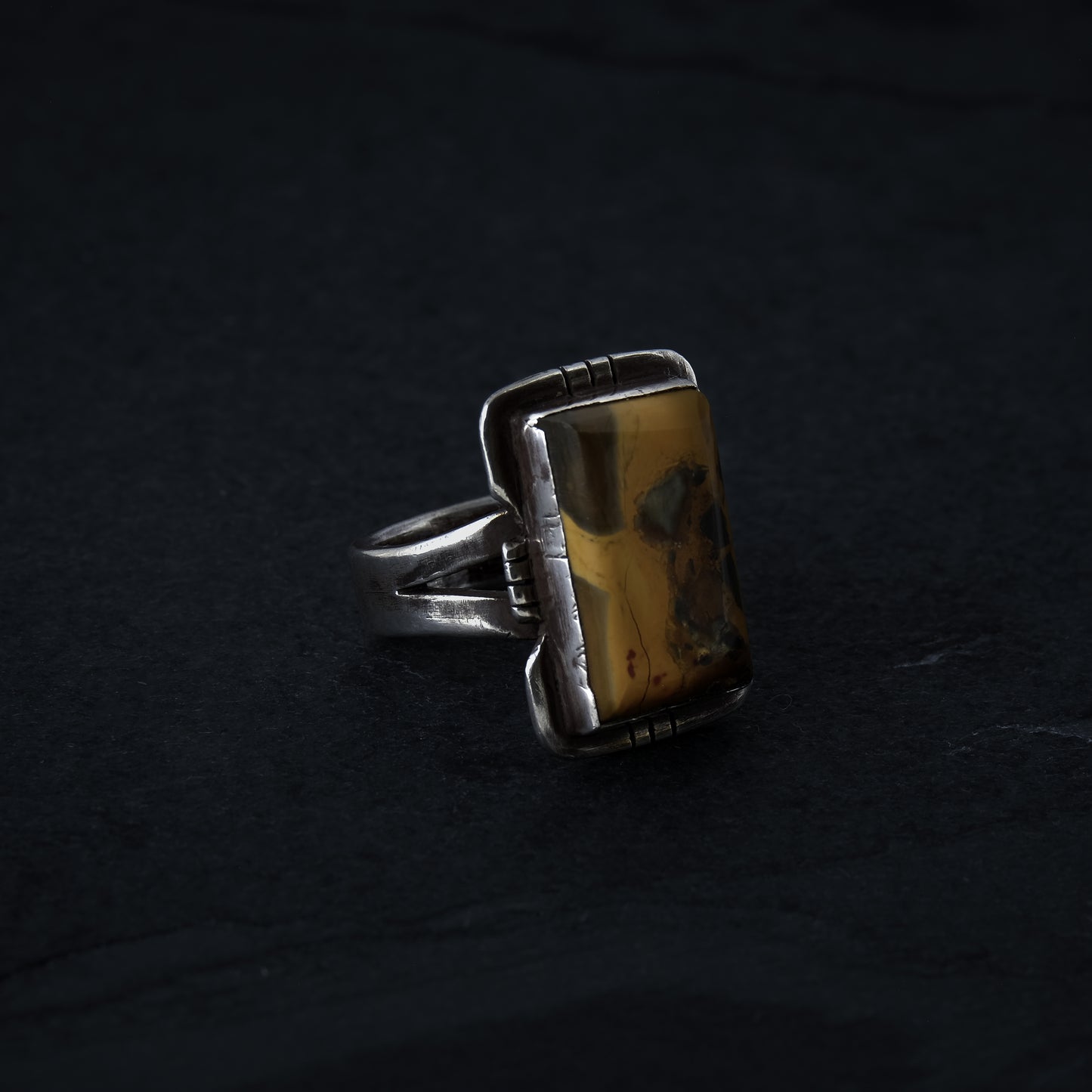 Petrified Wood Size 11