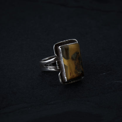 Petrified Wood Size 11